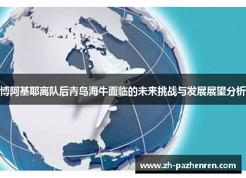 博阿基耶离队后青岛海牛面临的未来挑战与发展展望分析