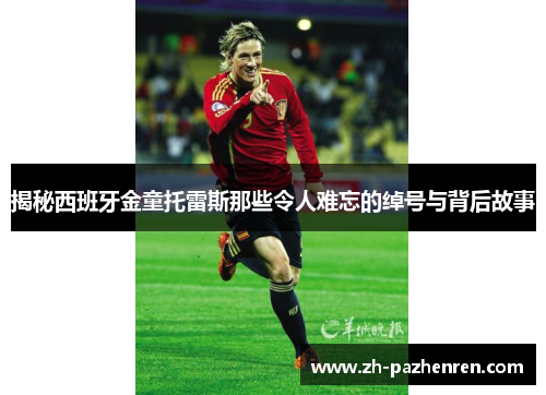 揭秘西班牙金童托雷斯那些令人难忘的绰号与背后故事