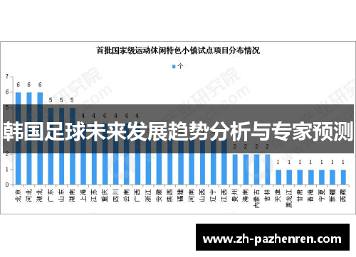 韩国足球未来发展趋势分析与专家预测